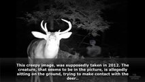 10 Creepiest Unexplained Trail Cam Photos