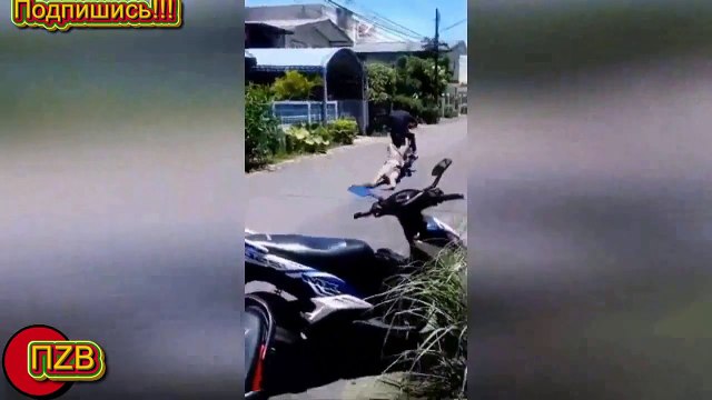 The best of 2016 1 Большие приколы Январь 2016, Вот это прикол ! Падения, ржака и не только