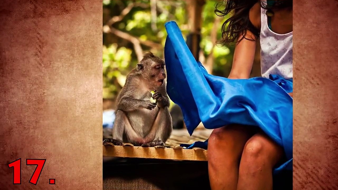 25 Perfectly Timed Photos