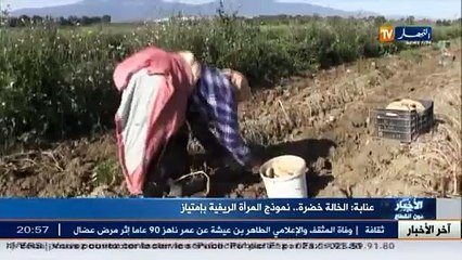 عنابة  الخالة خضرة..نموذج المرأة الريفية بإمتياز