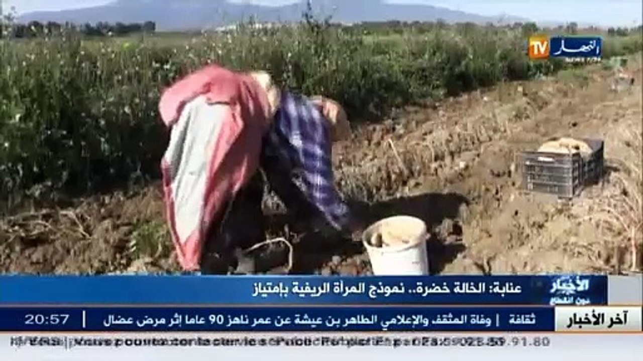 عنابة  الخالة خضرة..نموذج المرأة الريفية بإمتياز