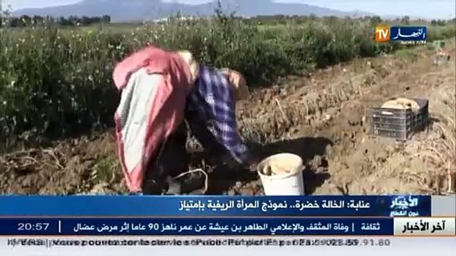 عنابة الخالة خضرة..نموذج المرأة الريفية بإمتياز