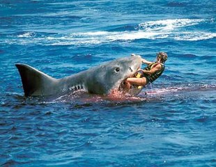 Köpek balığına yem olan kız!