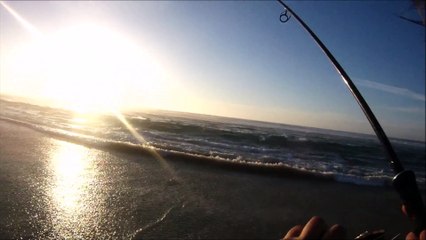 Peche du bar dans les baines - Frenesie du soir 2/2 HD