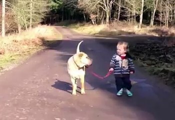 Çocuk işte illaki dediğini Yapacak :)