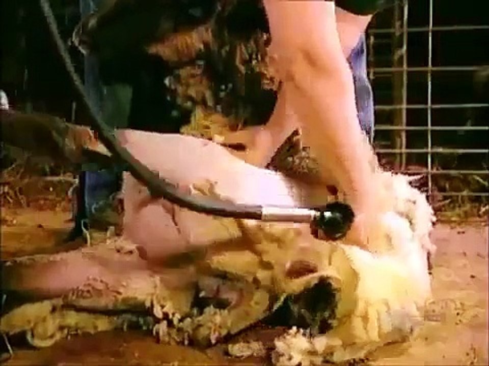 How Its Made Wool