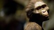 PBS Nova ✔ Becoming Human - Episode 1 : First Steps Homo Sapiens