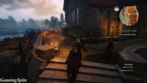 The Witcher 3 Hearts Of Stone Walkthrough Part 2 Meeting Shani