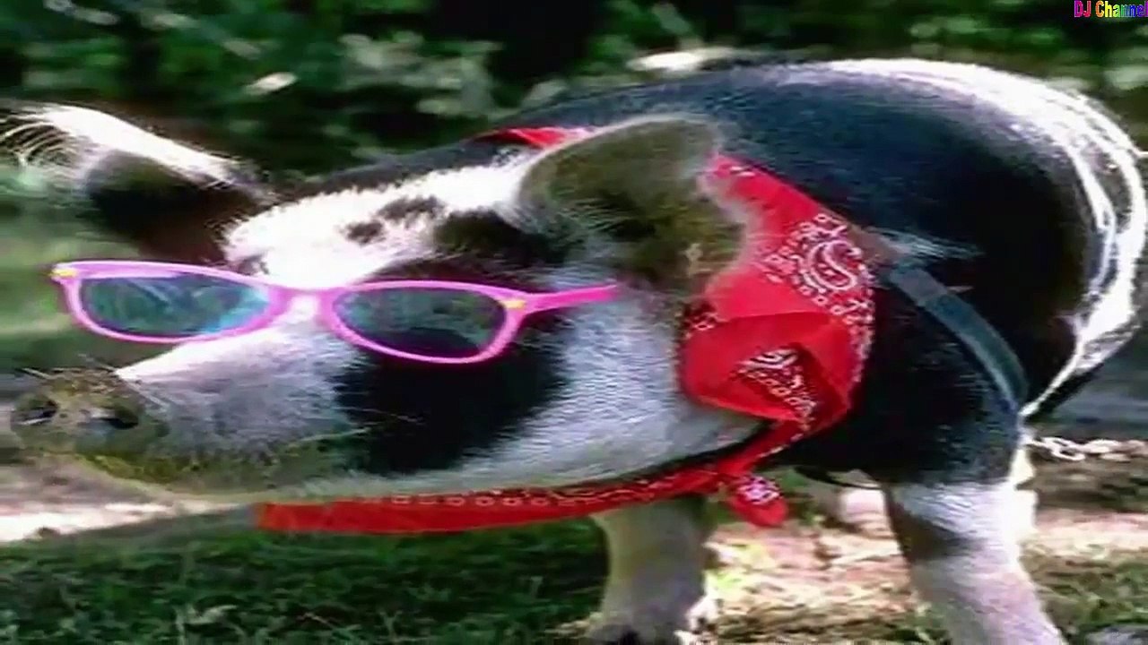 CON HEO ĐẤT ◕ REMIX • Nhạc thiếu nhi sôi động ♫ Giúp Bé ăn nhanh