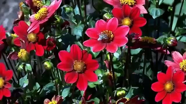 Mundos Internos Mundos externos 2da Parte La espiral