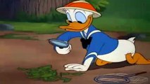 Donald Duck-  Bootle Beetle 1947