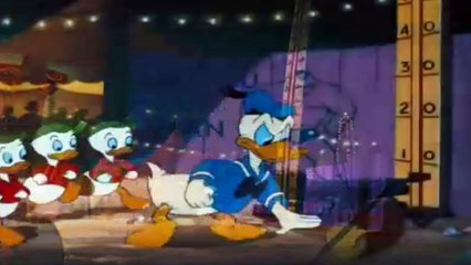 Donald Duck - Canvas Back Duck