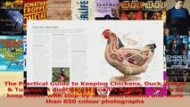 The Practical Guide to Keeping Chickens Duck Geese  Turkeys A directory of poultry Read Online