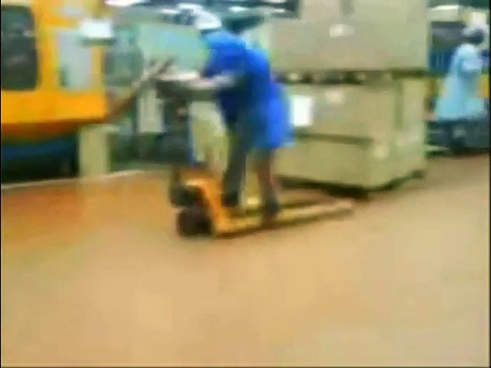 Funny Videos - funny cats - Funny Pranks - Funny Cats Videos - funny