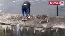 Un homme sauve un chien de la noyade, mais c'est ce que fait le chien après qui fait chaud au cœur!