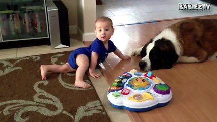 Big  Dogs Playing with Babies Compilation 2016