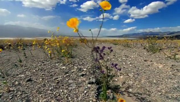 [National Geographic] Death Valley (Nature Documentary)
