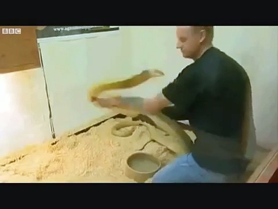 Cobra Kills A Man