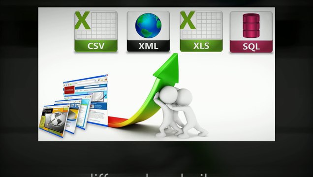 What Does a Facebook Data Extractor Do?
