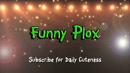 Cute Puppy Wants to Eat the Elephants