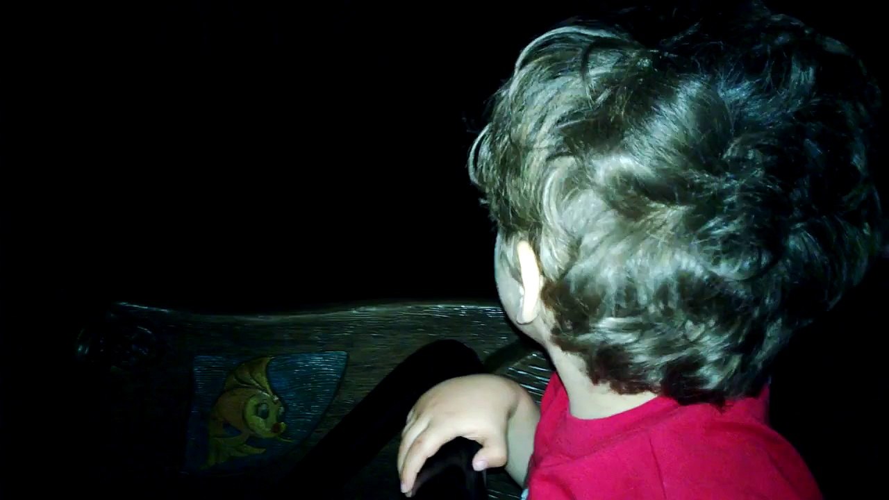 Edward at Disneyland (Pinocchio Ride)
