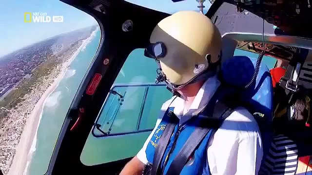 Australias Deadliest Shark Coast Killer Sharks Shark Documentary [FULL EPİSODE]