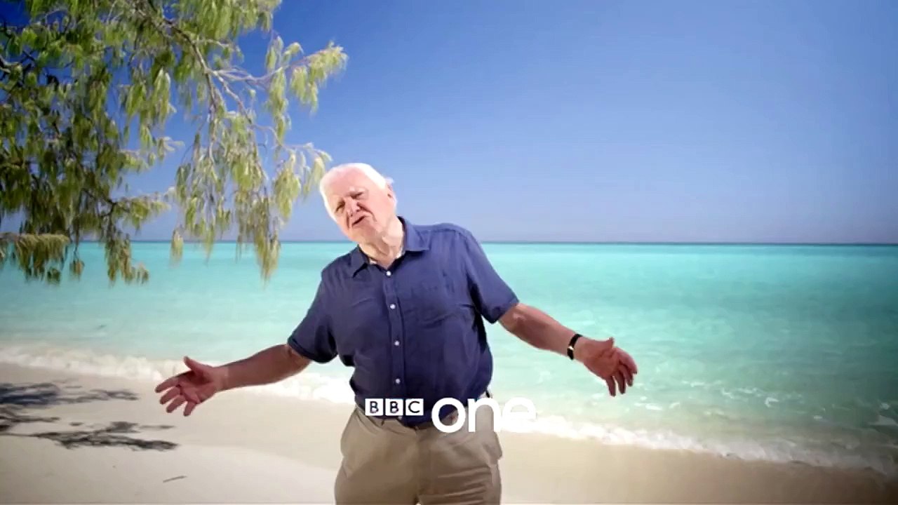 Great Barrier Reef with David Attenborough: Trailer - BBC One