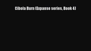 Cibola Burn (Expanse series Book 4) [Read] Online