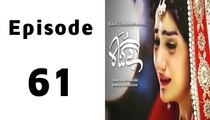 Bay Gunnah Episode 61 on ARY Zindagi in High Quality