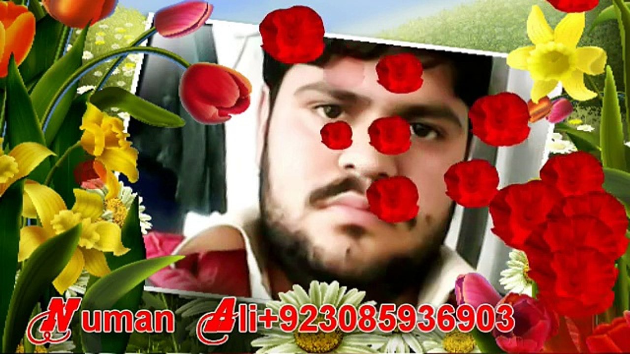 Super Collection Song-1