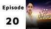 100 Din Ki Kahani Episode 20 Full on Hum Sitaray in High Quality