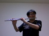 Makenaide (by ZARD) flute cover / 負けないで (ZARD)フルートカバー