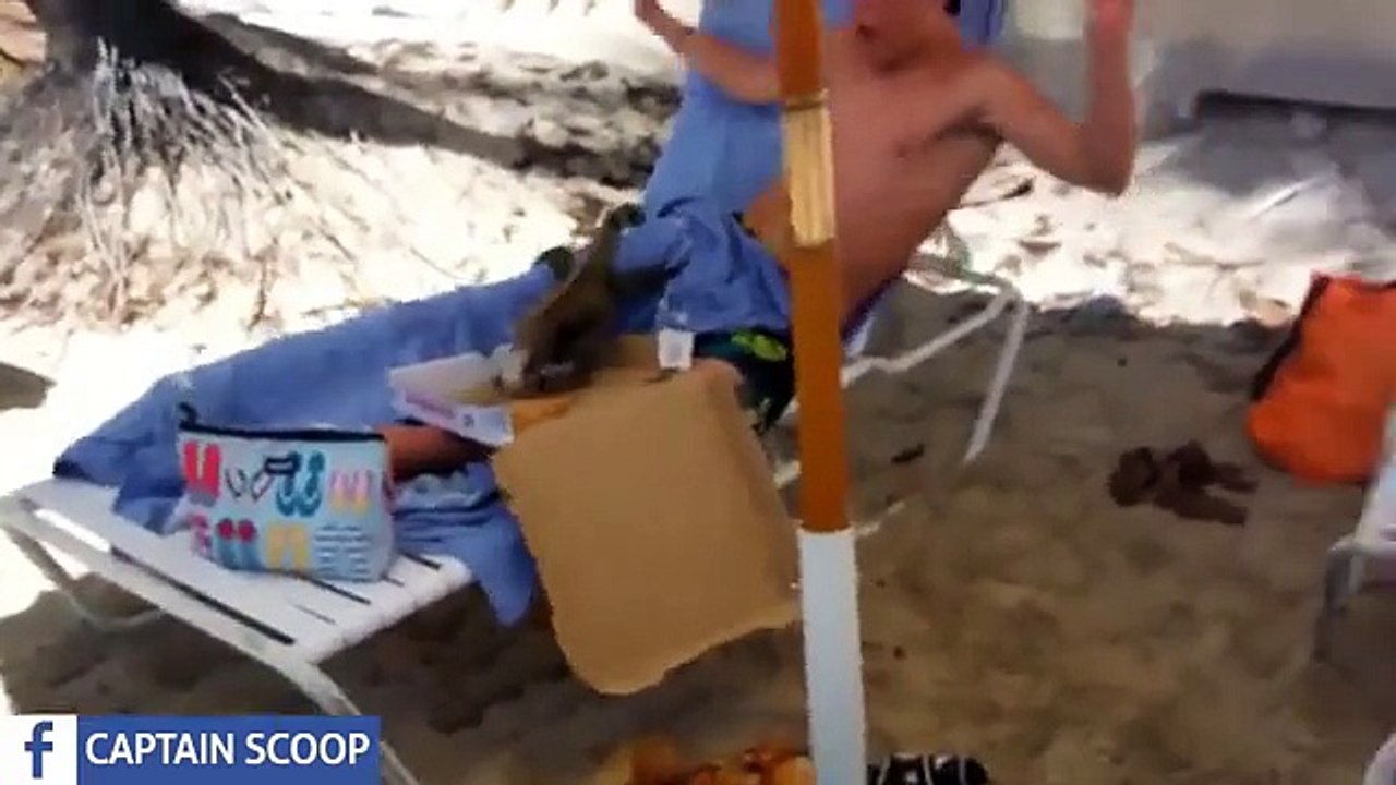 Try not to laugh challenge IMPOSSIBLE FUNNY Videos 2015 Funny Animals