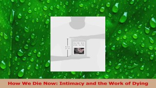Download  How We Die Now Intimacy and the Work of Dying Ebook Free