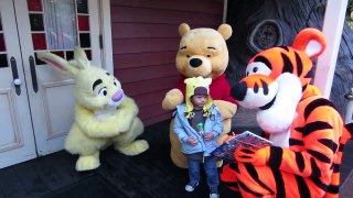 Cute Meeting Rabbit, Winnie and Tigger at Disneyland sign