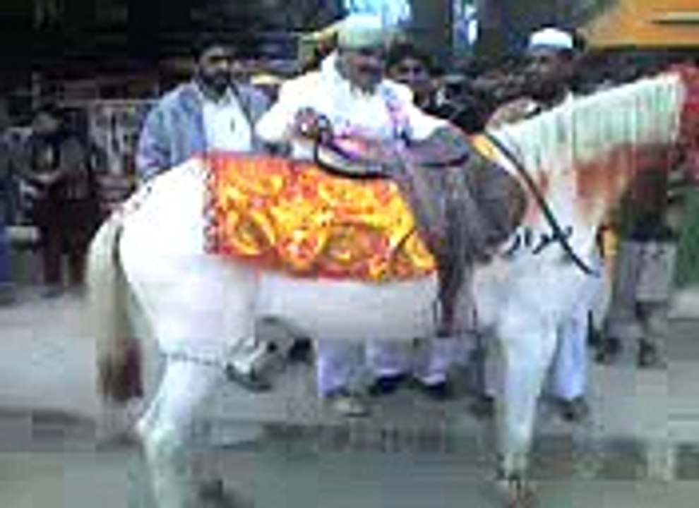 Baba g