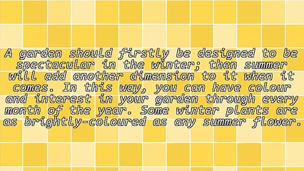 How to Plant a Garden for Winter Colour