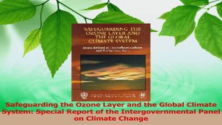 Download  Safeguarding the Ozone Layer and the Global Climate System Special Report of the PDF Online