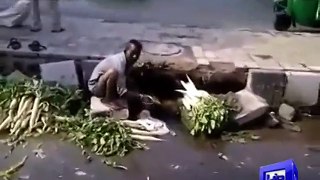 Dunya News- Man washing vegetables using sewerage water in India.