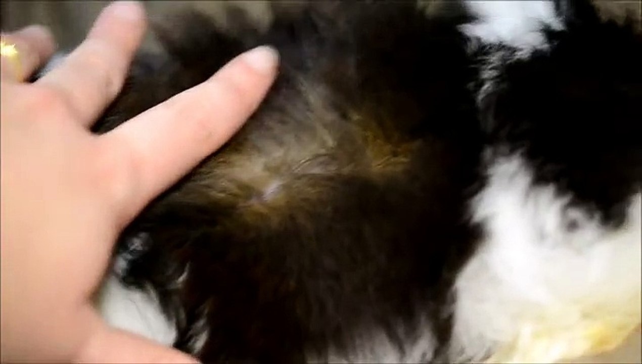 Twist, 7 semaines 1/2