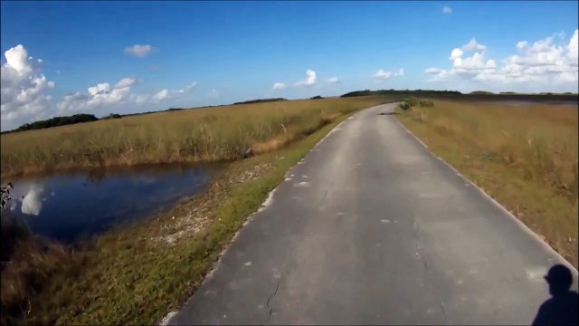 Un cycliste croise un crocodile pendant sa balade... Et non ce n'est pas un bous de bois