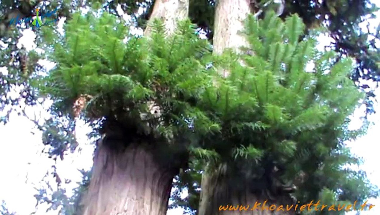 Visit the H'Mong King's House - Nha Vua Meo - in Saphin, Dong Van - Hagiang