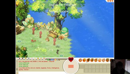 Beerd- Minecraft-Dofus-other (2)