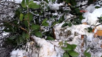 Rize'de Karda Mahsur Kalan 82 Yaşındaki Hasta İçin Seferberlik