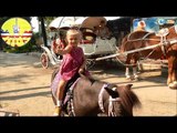✔ Doc McStuffins with Yaroslava will ride a pony for a walk in the zoo / Video for children ✔