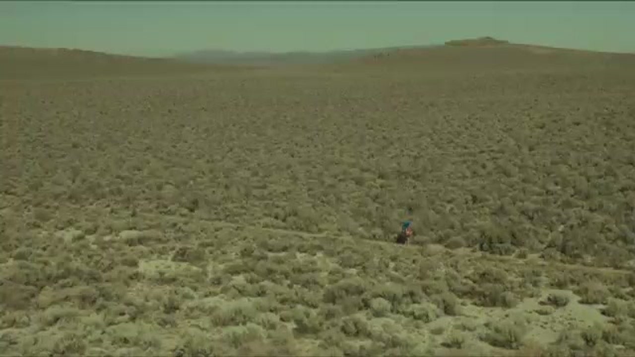 Behind the Scenes of Wild