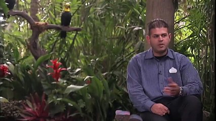 Flowers Every Role a Starring Role - Disneyland Jungle Cruise Horticulture Team