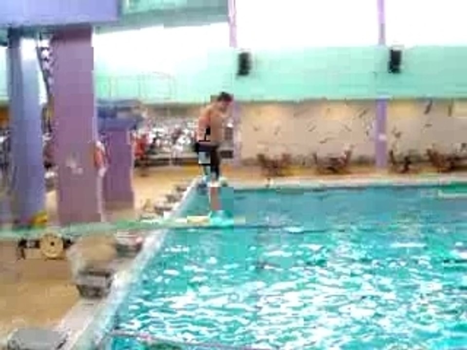 Piscine gamelle