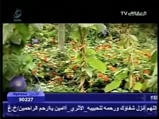 انشودة [ يد الابداع ] ،، مشاري العفاسي.flv