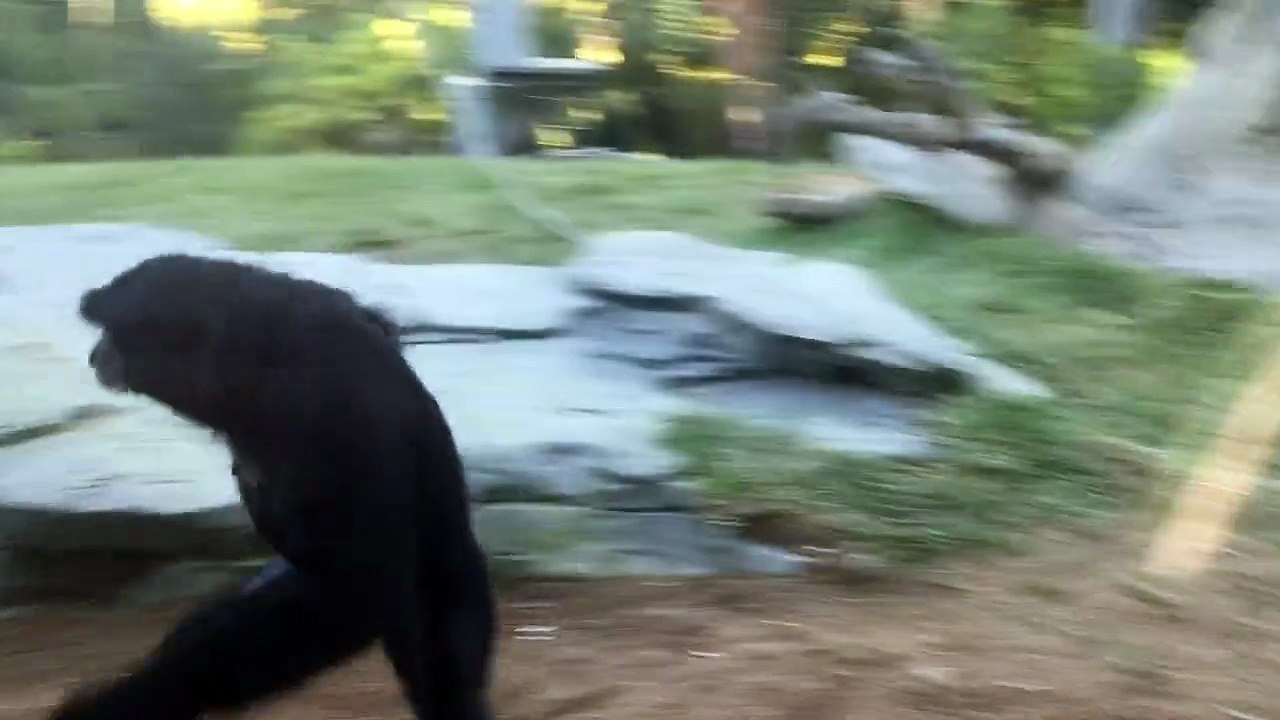 That's Not A Trick. This Is A Trick.